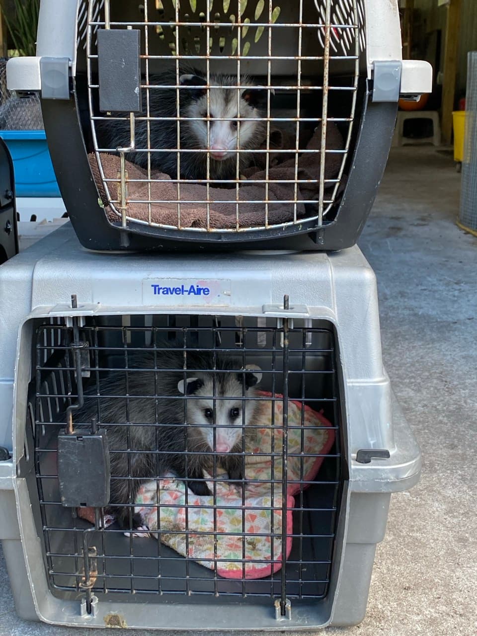 Professional relocation services in action